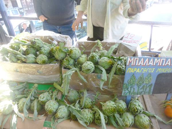 Η καλλιέργεια αγκινάρας αποφέρει καλό εισόδημα (φωτογραφίες)