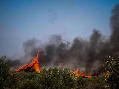 Πετράκος: Για την καταστροφή της Ελαφονήσου υπάρχουν υπεύθυνοι