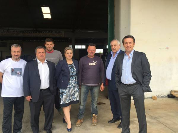 Αλειφέρη και Μαντάς σε καλλιέργειες της Τριφυλίας