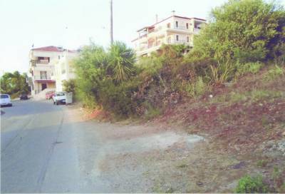 Ζούγκλα στην Πύλο