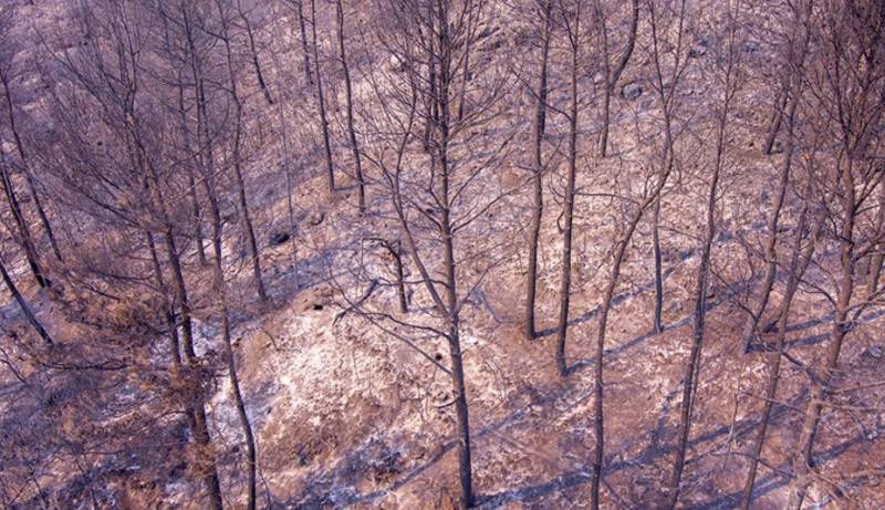 Μάχη με τις αναζωπυρώσεις σε Έβρο και Ροδόπη, διάσπαρτες εστίες στην Πάρνηθα