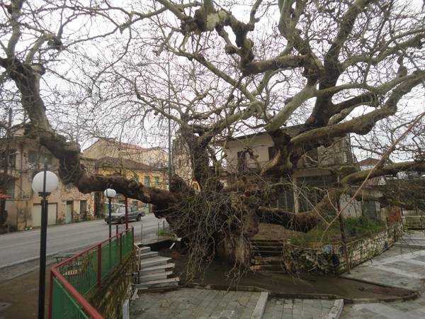 Τριήμερο προσκύνημα στο σκήνωμα του Αγίου Φλώρου