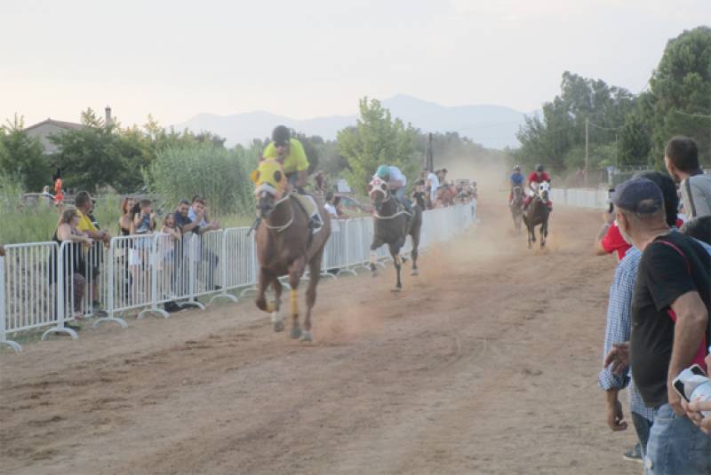 Μεσσηνία: Ο ίππος “Σήκρετ Ρέμπελ” νίκησε στις ιπποδρομίες στο Πλατύ (βίντεο)