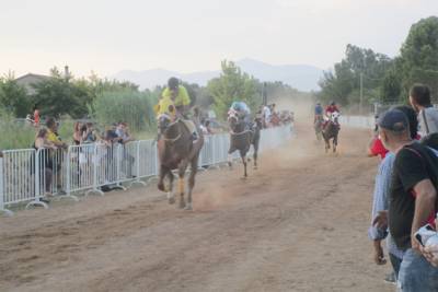 Μεσσηνία: Ο ίππος “Σήκρετ Ρέμπελ” νίκησε στις ιπποδρομίες στο Πλατύ (βίντεο)