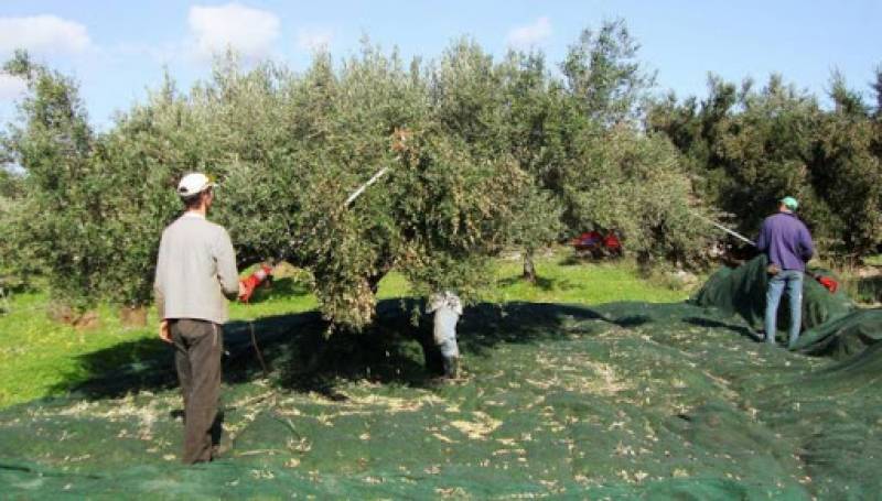 Σύμβαση για τα τεστ κορονοϊού στους εργάτες γης