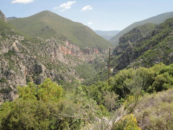 Αυτοκίνητο έπεσε σε γκρεμό στον Ταΰγετο - Τραυματίστηκε μία γυναίκα