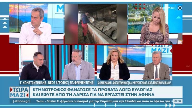 Κτηνοτρόφος θανάτωσε τα πρόβατα λόγω ευλογιάς και έφυγε από την Λάρισα για δουλειά στην Αθήνα.