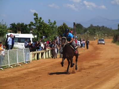 Μεσσηνία: Ιπποδρομίες του Αγίου Γεωργίου στο Πλατύ