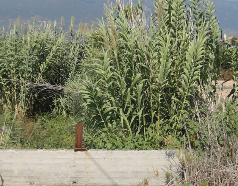 Νέος διαγωνισμός για καθάρισμα ρεμάτων Μεσσήνης