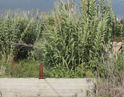 Νέος διαγωνισμός για καθάρισμα ρεμάτων Μεσσήνης