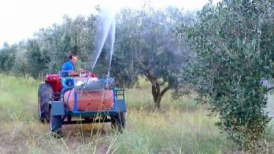 Δακοκτονία σε 64 από τις 70 κοινότητες του Δήμου Μεσσήνης