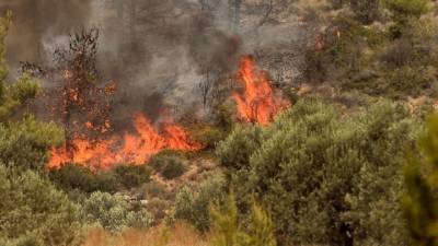 Νέα μονάδα δασοκομάντος για την Πελοπόννησο ιδρύεται στην Τρίπολη