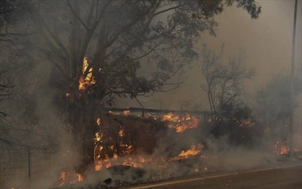 Συνεχίζεται η μάχη με τις φλόγες στην Αιγιάλεια - 16 τραυματίες