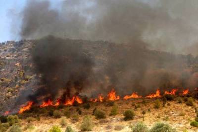 Μεσσηνία: 7 χρόνια κάθειρξη στον 31χρονο για τους εμπρησμούς σε Χρυσοκελλαριά και Υάμεια