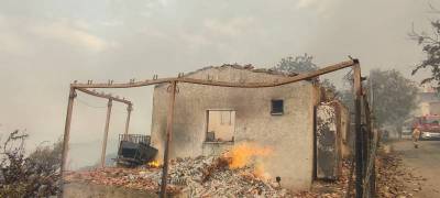 Αποζημίωση για ζημιές από φωτιές στην Τριφυλία