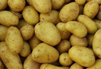 Ο περονόσπορος απειλεί τις πατάτες