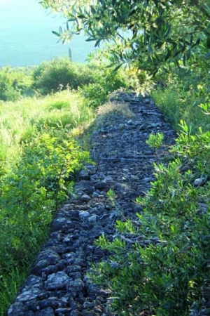 Ξήλωσαν αντιπλημμυρικό στην κοίτη του Χάραδρου
