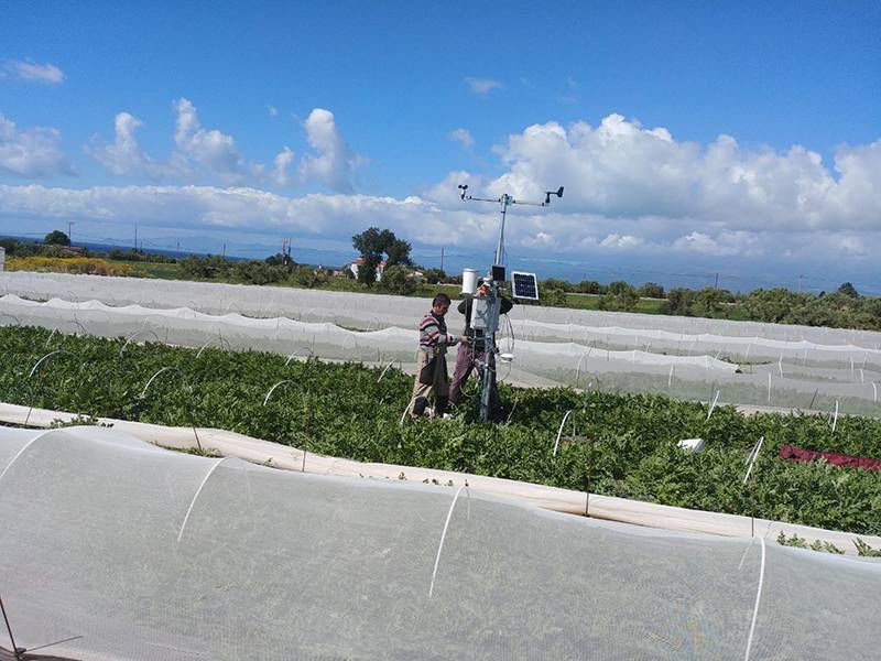 Νέες τεχνολογίες στον αγροτικό τομέα στην Τριφυλία