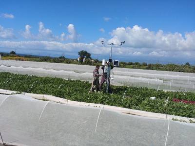 Νέες τεχνολογίες στον αγροτικό τομέα στην Τριφυλία