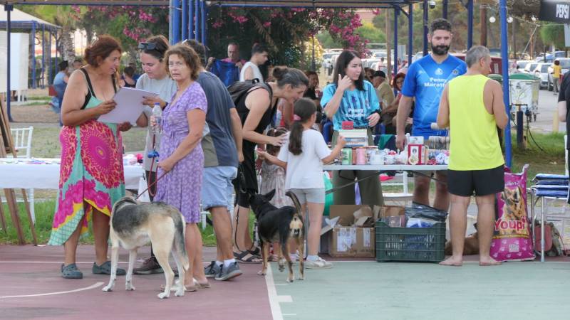 Φιλοζωική δράση στην Μπούκα
