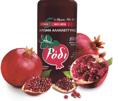 Ο Αρχιεπίσκοπος Ιερώνυμος στο "Αλφειός Ρόδι"