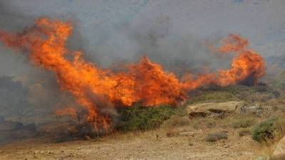Υψηλός κίνδυνος πυρκαγιάς σήμερα στη Μεσσηνία
