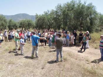 Επιτυχημένη εκδήλωση για τις υπεραιωνόβιες ελιές από το ΚΠΕ Καλαμάτας