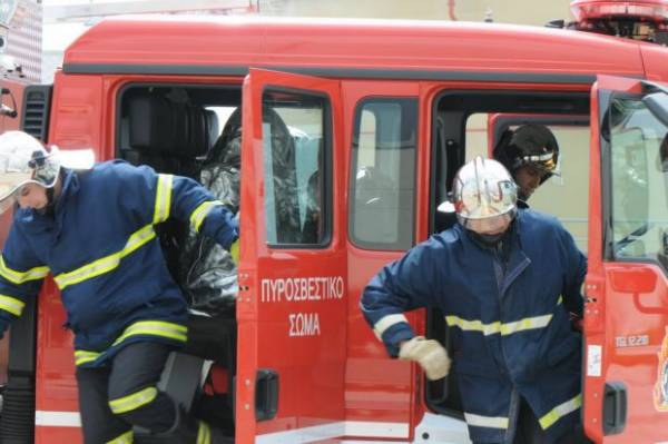 Φωτιά σε πευκοδάσος στη Βλασσάδα Τριφυλίας