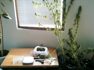 Πιάστηκε με όπλα και ναρκωτικά στην Οιχαλία