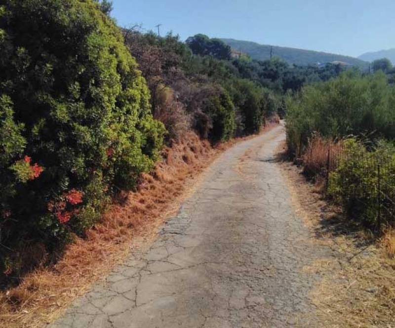 Έκκληση για καθαρισμό εκτάσεων στα Μενινά (φωτογραφίες)