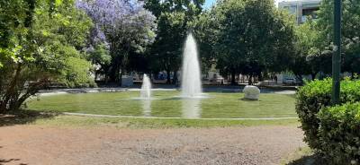 Καλαμάτα: Κοινές δράσεις Δήμου και Φιλοζωικού Ομίλου για την Παγκόσμια Ημέρα των Ζώων