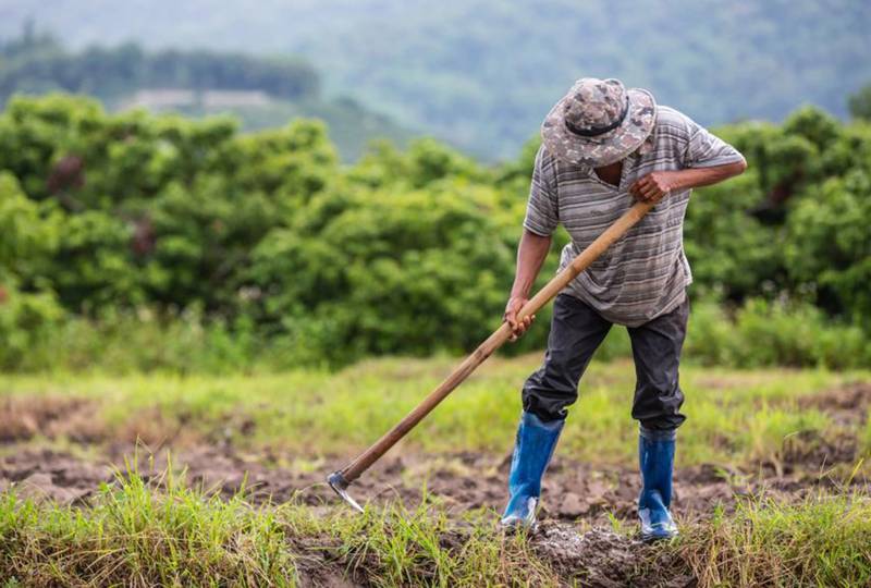 ΥΠΑΑΤ: Δεκτά και έντυπα μισθωτήρια για το ΟΣΔΕ του 2022