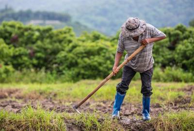 ΥΠΑΑΤ: Δεκτά και έντυπα μισθωτήρια για το ΟΣΔΕ του 2022