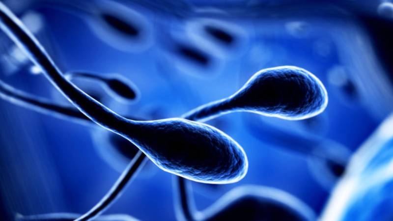 Δραματική η μείωση των σπερματοζωαρίων – Πάνω από 50% καταγράφεται τα τελευταία 46 χρόνια