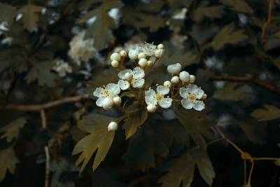 Αστρολογία – 14/09/2023