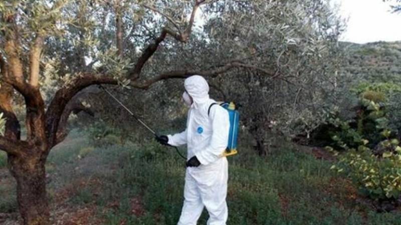 Μεσσηνία: Το πρόγραμμα δακοκτονίας για την Τετάρτη 14/9