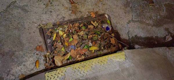 Ζητούν ίση μεταχείριση