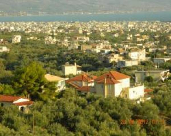 Την Αποκεντρωμένη «δείχνει» για τα Λέικα ο Δήμος Καλαμάτας