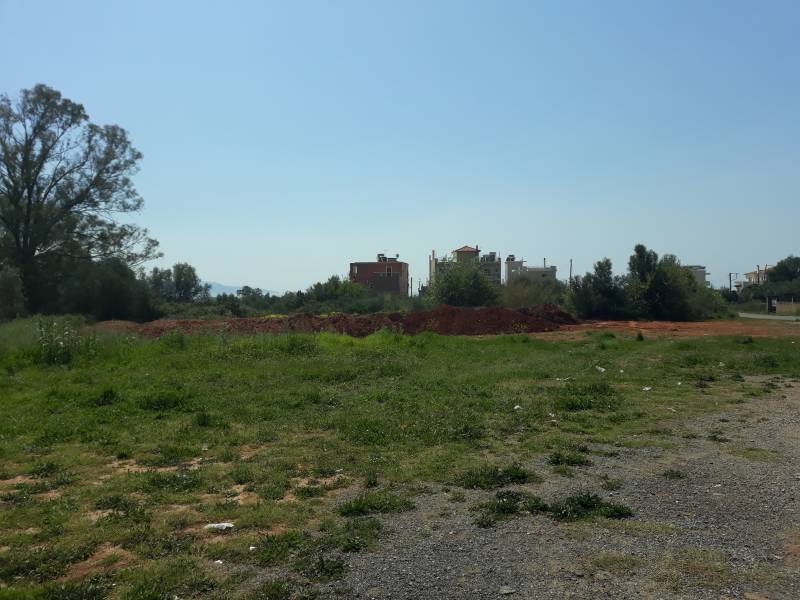 Καλαμάτα: Τροποποίηση σχεδίου στα Πλακωτά για νέο κτήριο της Πυροσβεστικής (βίντεο)