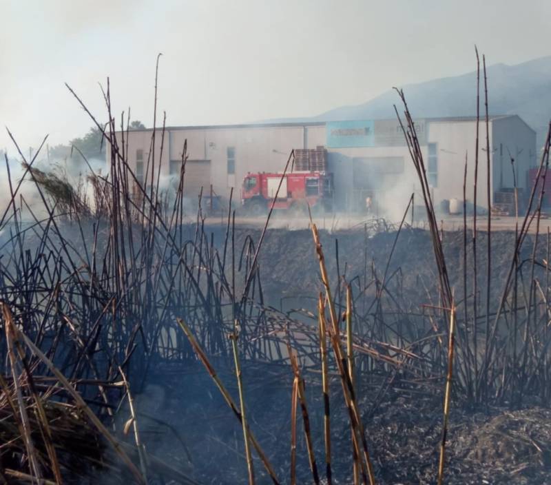 Φωτιά σε καλαμιώνα στο βιολογικό καθαρισμό Καλαμάτας (φωτό)