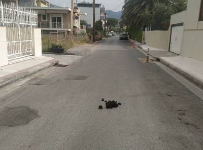 Ποιος θα τα καθαρίσει;