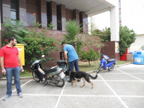 Φάρσα το τηλεφώνημα για βόμβα στα Δικαστήρια