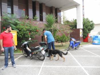 Φάρσα το τηλεφώνημα για βόμβα στα Δικαστήρια