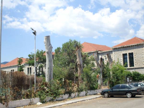 Κλάδεμα αλά… Νίκα