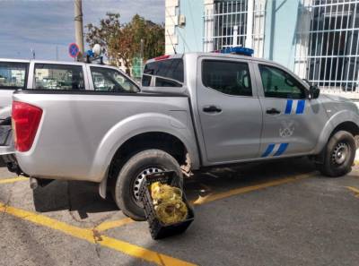 ΛΙΜΕΝΑΡΧΕΙΟ ΚΑΛΑΜΑΤΑΣ: Κατάσχεσαν δίχτυ για παράνομη αλιεία