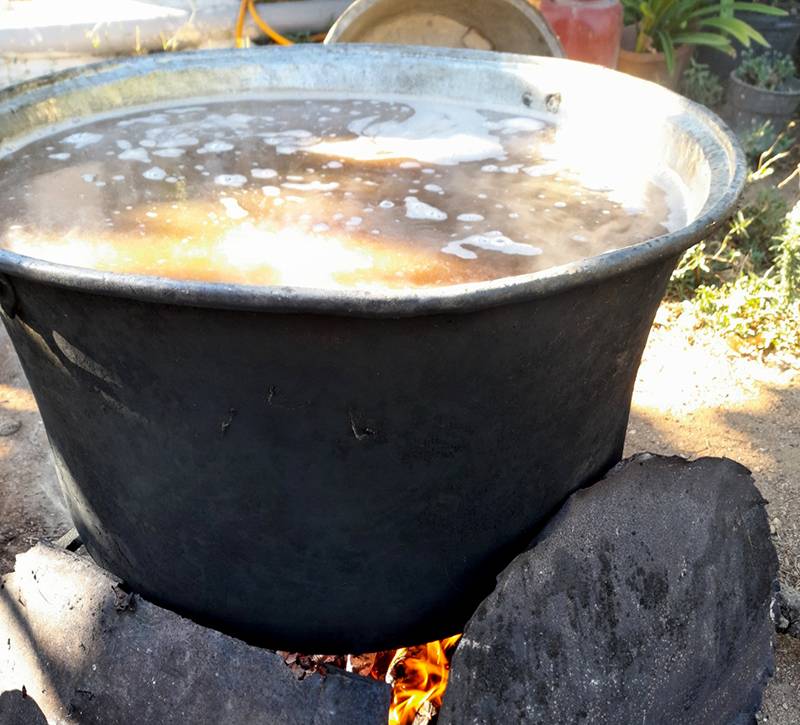 Πώς φτιάχνουμε πετιμέζι – η Βασιλική Μαρίνη μας δείχνει βήμα-βήμα