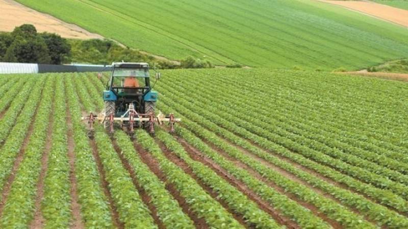 Προϋπολογισμός 135 εκατ. ευρώ για το πρόγραμμα μεταποίησης, εμπορίας και ανάπτυξης γεωργικών προϊόντων