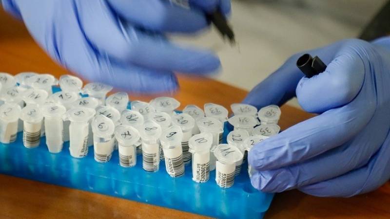 3 κρούσματα κορονοϊού σε εργάτες γης στα Φιλιατρά