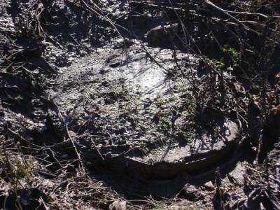 Πρόστιμο της Περιφέρειας στο Δήμο Οιχαλίας