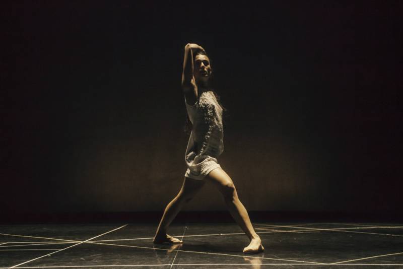 Μεσσηνιακές παρουσίες στο “Arc For Dance Festival”